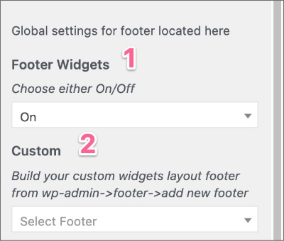 Footer Settings 1